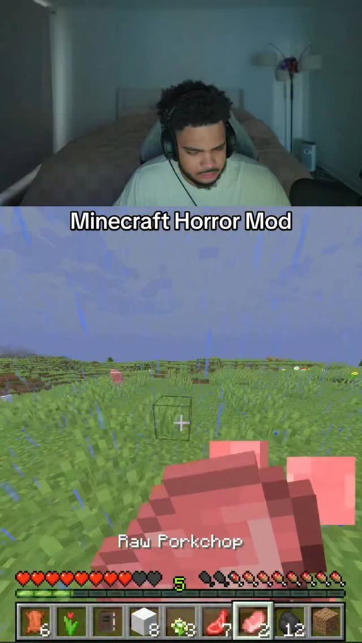 Minecraft Horror Mod #gaming #minecraft #horrorgames #scarygames