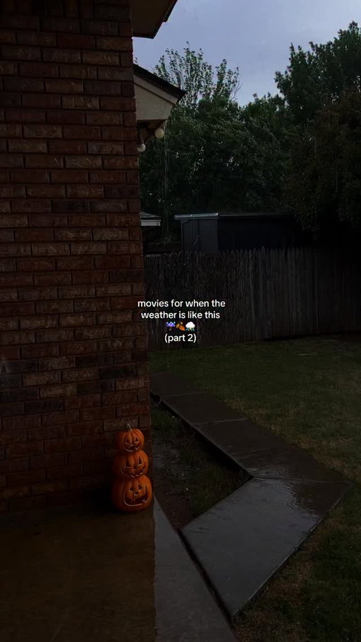 more movies ideas for your next rainy day⛈️☔️🍂
•
i added some of my favorites ✨
•
•
•
#rainydaymovies #movienightideas #spookymovies  #rainyweather #stormyweather