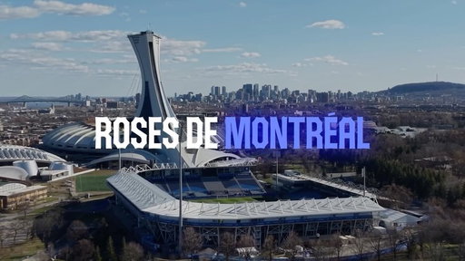 Ensemble, écrivons une nouvelle page d’histoire 🌹⁣
Le 29 août, les Roses de Montréal joueront un match historique au Stade Saputo 💙⁣
⁣
Nation des Roses, rassemblons-nous pour vivre quelque chose de grand 🔗 ⁣Lien en bio

Let’s write another chapter in history 🌹⁣
On August 29, the Montréal Roses will play a historic match at Stade Saputo 💙⁣
⁣
Roses Nation, let’s make this a moment to remember 🔗Link in bio