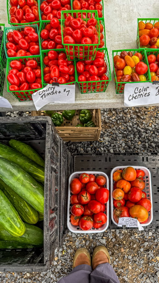 Pardon my sweatiness y’all but we are at 100% humidity today in New Orleans 🥵. It finally stopped raining though so I could check out the @crescentcityfarmersmkt at @thebatture this morning and got so many beautiful local fruits and veggies. Hit up @missmarketnola right after and it’s even cuter than I imagined and has all the goodies I need like artisanal cheeses and fresh oysters, and the bevies I love like @drinkstrains. 🍅🌳🌤️💞