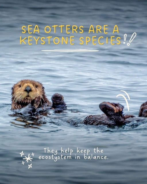 Happy World Otter Day! 🦦 Did you know sea otters aren't just cute — they're also helping fight climate change?

Swipe to find out how these keystone species keep kelp forests (and our planet) healthy. 🌿

Think you otter know more? Take the sea otter quiz and dive into more species facts at wwf.ca/lprckids or our link in bio