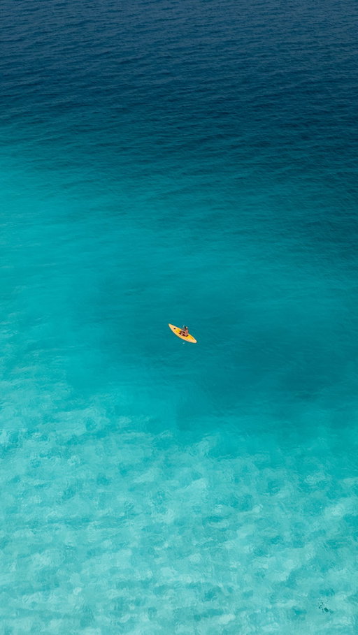 this is Western Australia ✨ things you can’t miss: 
• Wharton Beach
• Lucky Bay
• Elephant Rocks
• Twilight Beach
• Wylie Bay
• Lancelin Sand Dunes
• Rottnest Island
follow @travelifejournal for more travel inspiration 🫶🏼