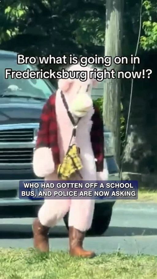 Fredericksburg, Virginia police are currently searching for someone who was spotted in a "Pink Panther" costume. They were allegedly following children on May 14, 2026, and the case went viral after a local realtor captured him on video along Lafayette Boulevard, amassing over a million TikTok views and drawing national attention...

We're taking a look at the video and breaking down what's known in this week's Crime Weekly News, out now on Youtube and audio.

#truecrime #truecrimecommunity #truecrimepodcast #news #pinkpanther