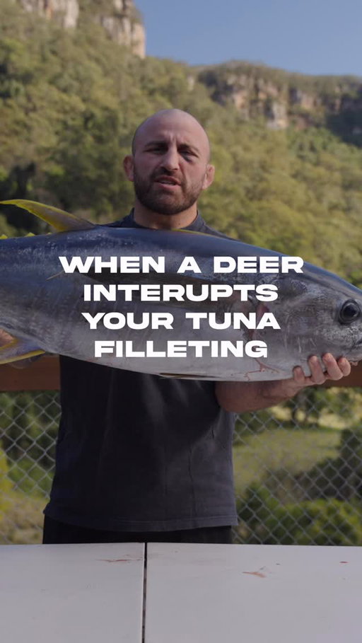Sometimes you just gotta put the tuna on ice to grab a quick stag