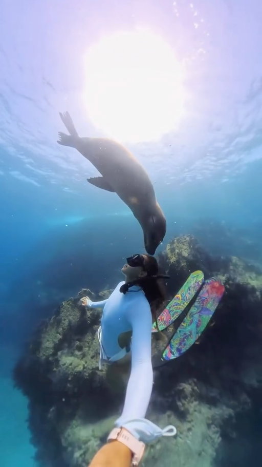 A moment I’ll never forget 🩵 

Every now and then I come back to this moment. If in feeling overwhelmed or just missing the ocean. And still feels unreal 🥹 This sea lion didn’t just swim by… she kept choosing to come back. Every time I dove down, she followed, calmly staying by my side. In that moment, everything else disappeared. I wasn’t thinking about my breath hold or the camera. I was completely present, sharing a quiet moment with a wild animal that was simply curious.

I’ve been lucky enough to have many sea lion encounters over the years but this one felt different. They’re usually zooming around, playful and full of energy. But she slowly approached me and for a few minutes we simply shared the same space.

It’s moments like these that keep pulling me back to the ocean. You never know what it’s going to give you and that’s part of the magic. I hope this little glimpse made you feel even a fraction of what it was like to be there. 🩵

#sealion #momentos #sealions #mexico #oceanworld