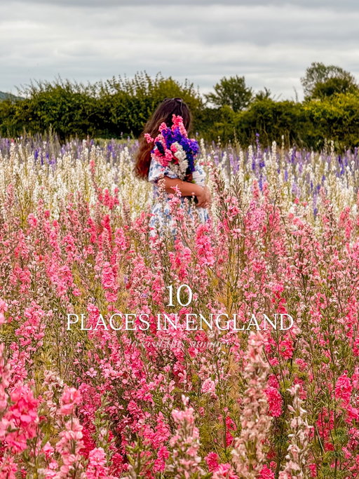 Summer in England is underrated so here are 10 beautiful places to add to your England travel list!

The Cotswolds - countryside villages
Rye - cobbled medieval streets
Lincoln - historic cathedral city
Bath - Roman baths & Georgian streets
Peak District - hikes & views
Cambridge - punting & riverside walks
Eastbourne - cliffs & sunsets
Canterbury - history & cafés
Brighton - beach days & cocktails
Bristol - street art & harbour vibes

Where would you visit first?
