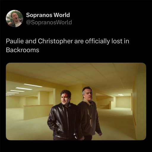 His Backrooms looked like 💩

#backrooms #trending #memes #sopranos #thesopranos