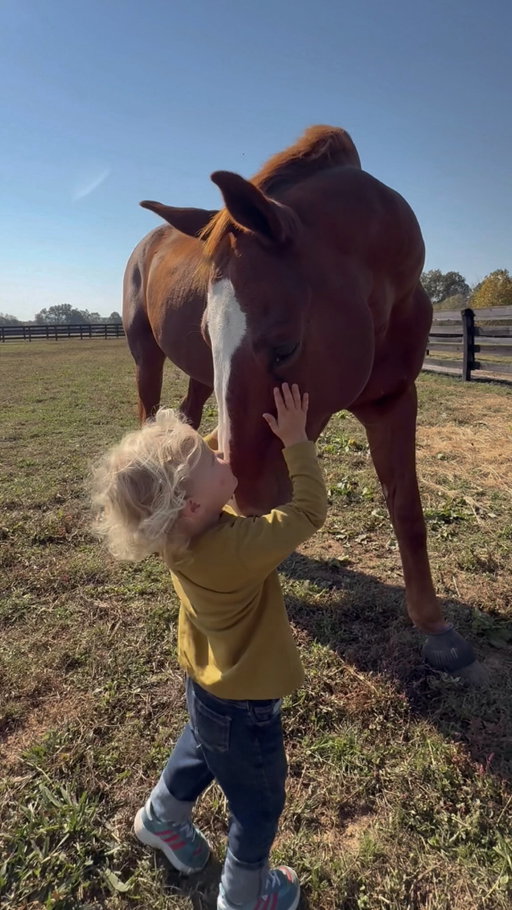 the gentlest giant there ever was ✨🥹