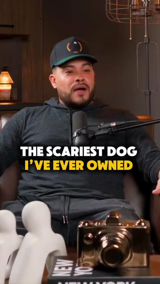 The scariest dog I’ve ever owned 

Arlington VA‼️ 08/07 - 08/08
Rutherford NJ 08/21 - 08/23
Las Vegas NV 09/04 - 09/05
Phoenix AZ 09/10
Seattle WA 09/16
Portland OR 09/17- 09/19
Levittown NY 11/20 - 11/21