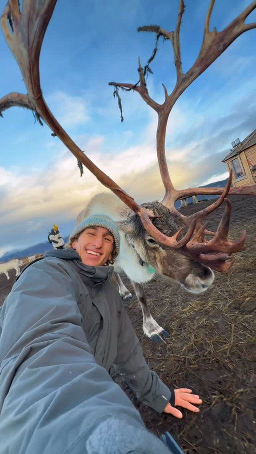 this is the ARCTIC ⚡️🥶🐼

There’s something about the cold and wild nature of northern Norway that makes it is so special. The chance of northern lights to unforgettable encounters with orcas and humpback whales, this is one of the most incredible places we’ve ever explored. ❄️🇳🇴

We have just a few spots left to join us here in Norway this Oct and Nov! 

DM me the word “ORCA” for more info 🐼