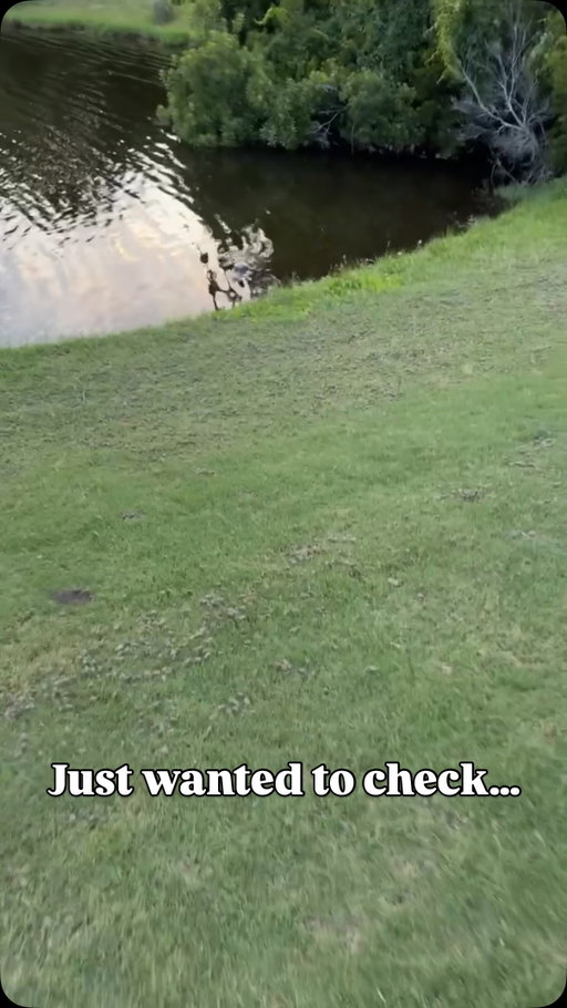 Well I guess he found out as well