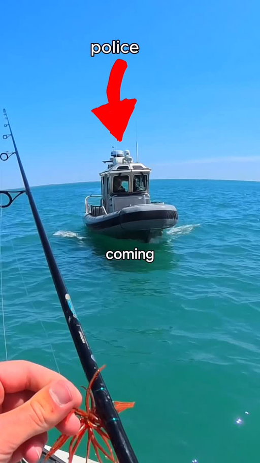After he pointed out the bait I had to go catch a fish on it 🐟🎣

#Fishing