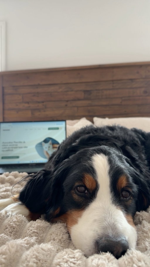 La vraie vie est occupée… travail, lunchs, routine, animaux, déplacements. 🐾

Alors quand je découvre quelque chose qui peut sauver du temps sans couper sur la qualité, je le garde en note.📝 

@neovet.ca , une clinique vétérinaire en ligne : prise de rendez-vous simple, accompagnement de qualité à distance, et super pratique quand ton quotidien est déjà bien rempli.

Pour prendre rendez-vous, tu peux aller sur neovet.ca.

#PUB #Neovet #CliniqueVétérinaireEnLigne #Animaux #Québec