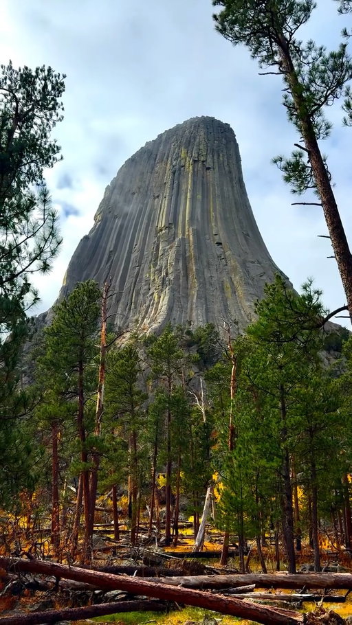 Devils Tower (aka Bear Lodge) stands over 1,200ft above the Belle Fourche River. This makes it the largest rock formation in the United States and is the largest Columnar Jointing example in the world!! 🤯

This tower is a highly sacred site to more than 20 tribes including the Lakota, Cheyenne and Kiowa. It’s at the center of many creation stories and is still used for prayer offerings and ceremonies. Every summer solstice, multiple tribes use this location for the multi day Sun Dance ceremony.

Would you visit here?

#Wyoming #travel #adventure #nature #geology