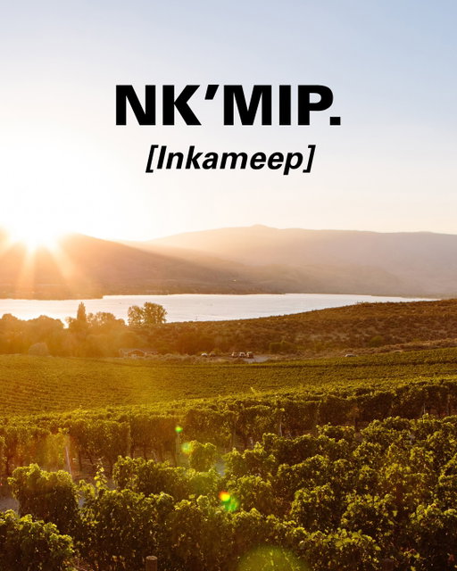 The name has been here longer than the winery.

Nk'Mip, pronounced Inkameep, refers to the land at the northern end of Osoyoos Lake, the territory of the Osoyoos Indian Band and the Syilx Okanagan people. It is a place with thousands of years of history beneath it.

June is National Indigenous History Month. For us, that history isn't something we observe from the outside — it is the foundation everything here is built on.

We are guided by a respect for that history in everything we grow, make, and serve here.

Nk'Mip Cellars, Indigenous owned winery, Syilx Okanagan, Osoyoos BC, National Indigenous History Month

#NkMipCellars #IndigenousOwned #BCWine