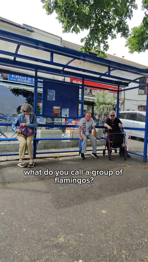 Bus Stop Trivia EP 2

#pov #quiz #trivia