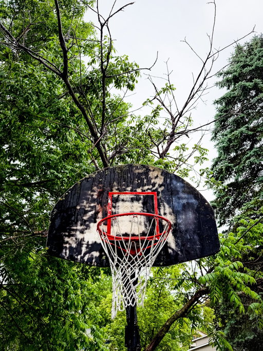 Neighborhood gems 💚🏀🏡