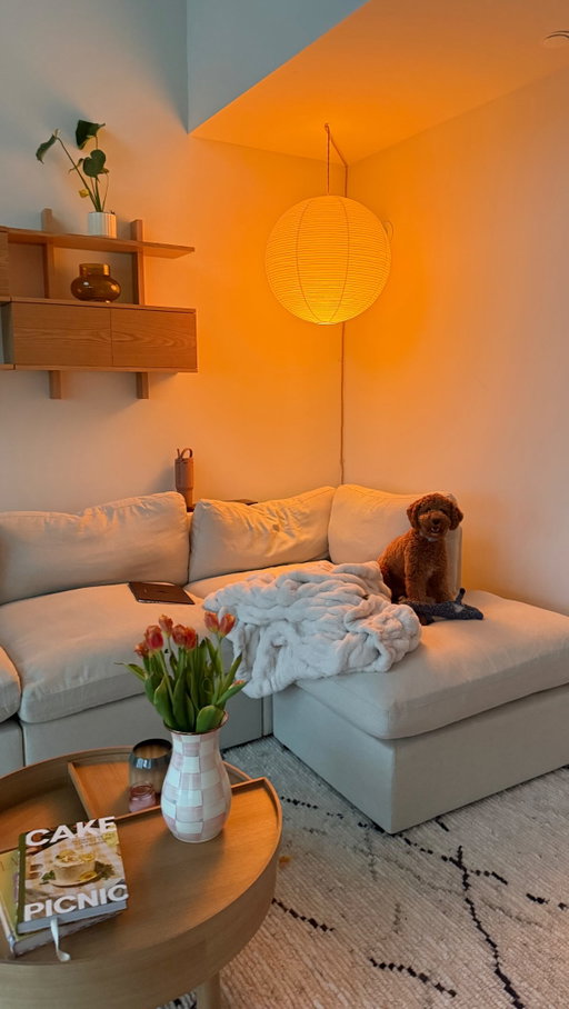 New apartment, new *DREAM* couch!!! 🌟🌷🏡 @cozey #apartment #couch #ad #cozeypartner
