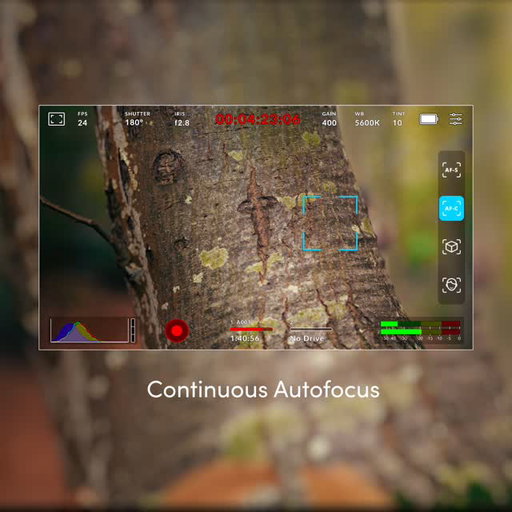 Today we announced Blackmagic Camera 10.2 update which adds support for phase detect autofocus to Blackmagic PYXIS 6K. This makes it easy to keep your subjects in focus, even as they move, with options added for continuous autofocus, object tracking or face tracking modes.

This update also adds support for Blackmagic Cloud stream routing with PYXIS 6K. This lets you route a live stream from the camera directly into your studio, or stream to multiple platforms at the same time using Blackmagic Cloud.

Blackmagic Camera 10.2 is available now as a free download from https://bmd.link/4ytL4y

#BlackmagicDesign #BlackmagicCameras #PYXIS6K #filmmaking
