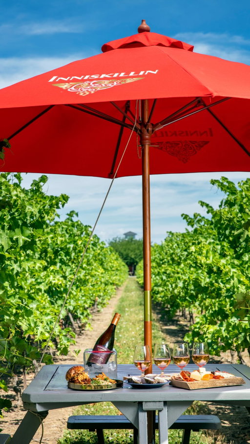 Niagara-on-the-Lake summer loading…☀️

The season of wine tasting under the sun and turning simple afternoons into memories you will talk about for the rest of the year.

Plan your next summer visit through the link in our bio.

11am to 6pm | Sunday to Friday 11am to 7pm | Saturdays

📍Inniskillin Estate Winery
Niagara-on-the-Lake, ON