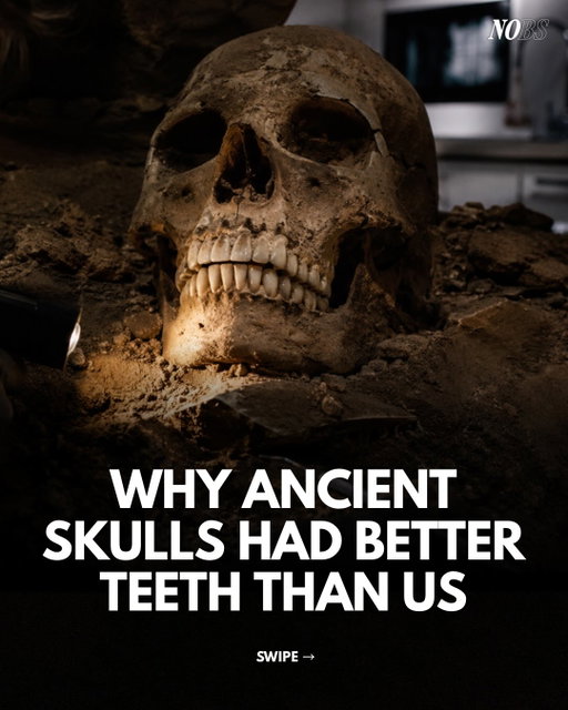 For most of human history, people weren’t surrounded by ultra-processed foods, sugary drinks, and constant snacking.

Ancient diets required more chewing, contained far less added sugar, and exposed teeth to a completely different environment than the one we live in today.

That’s why modern diets require modern oral care like NOBS.