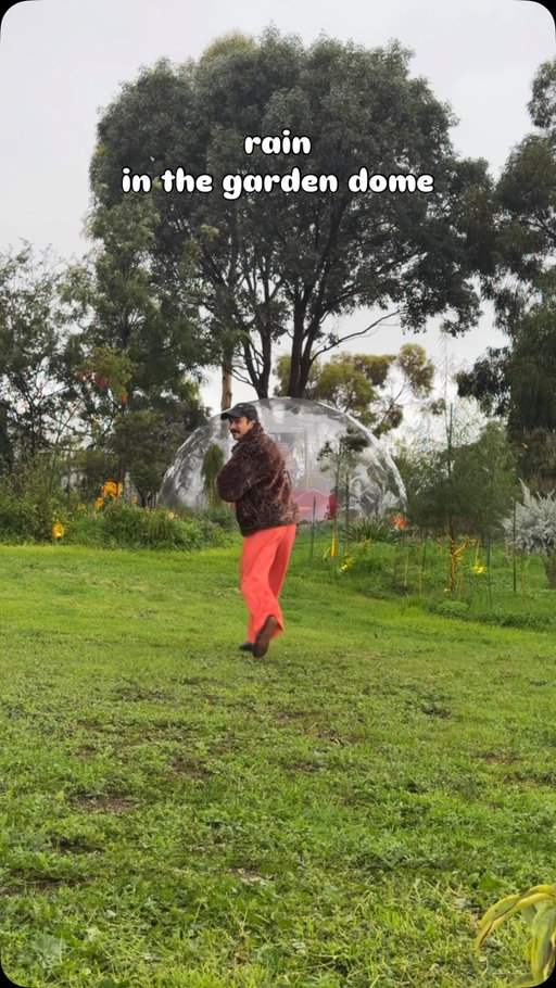 rain in the dome’s the only thing keeping my seasonal depression away 🙂‍↕️ #rain #gardendome #garden