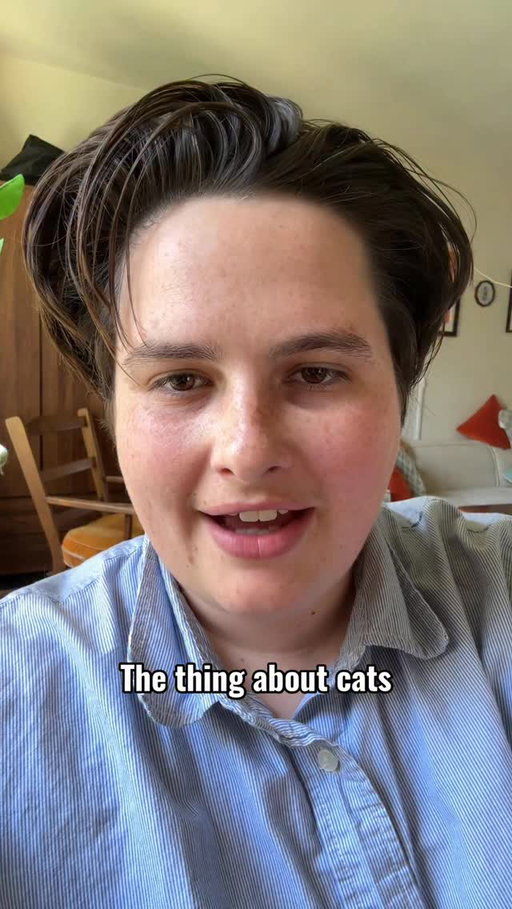 tell me i'm wrong #cat #cats_of_instagram #catlovers #socute