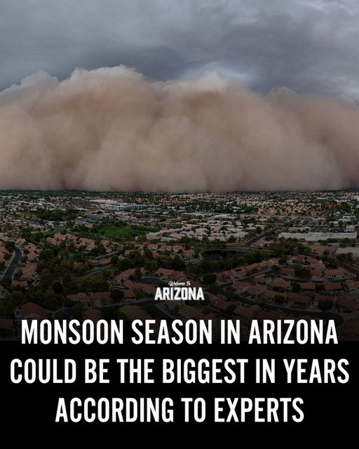Are you ready for monsoon season? 👀⛈️

Forecasters say Arizona could see a more active monsoon season this summer, bringing increased chances for rain, thunderstorms, dust storms, and flash flooding across parts of the state. 🌵

📸: Patrick Breen/The Republic

#Arizona #ArizonaMonsoon #MonsoonSeason #ArizonaWeather #WelcomeToArizona