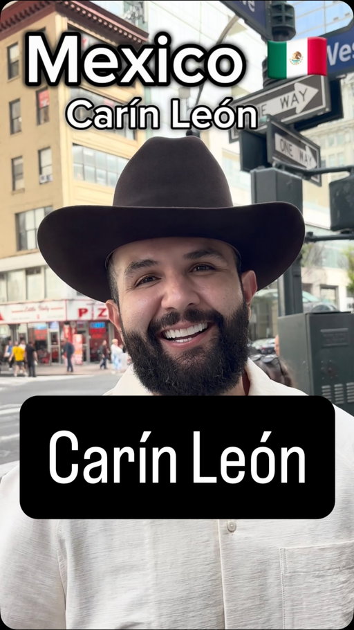 What do you do for a living? @carinleonoficial