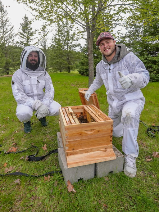 I started a Bee farm. Dreams do come true!