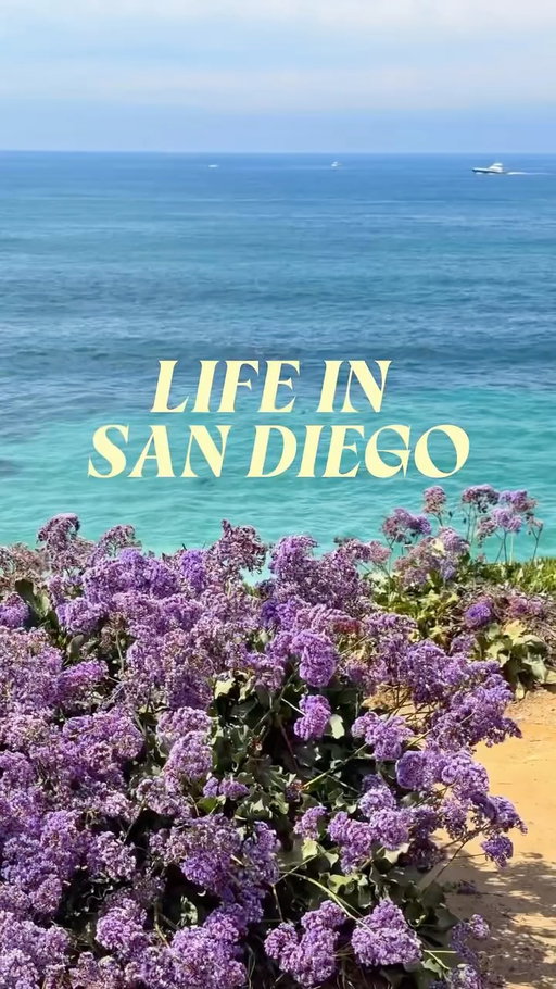 what life looks like when you live san diego aka best place ever 🏄‍♀️🌴🫐🤸🏼‍♀️🌊