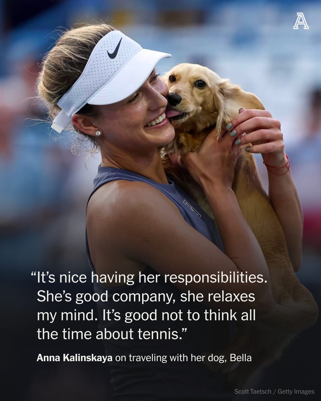 Tennis tournament or puppy heaven?

There were so many dogs at this edition of Roland Garros that the tournament installed doggie bag dispensers around the players’ lounge and 10 canines were given their own credential badges to wear around the grounds.