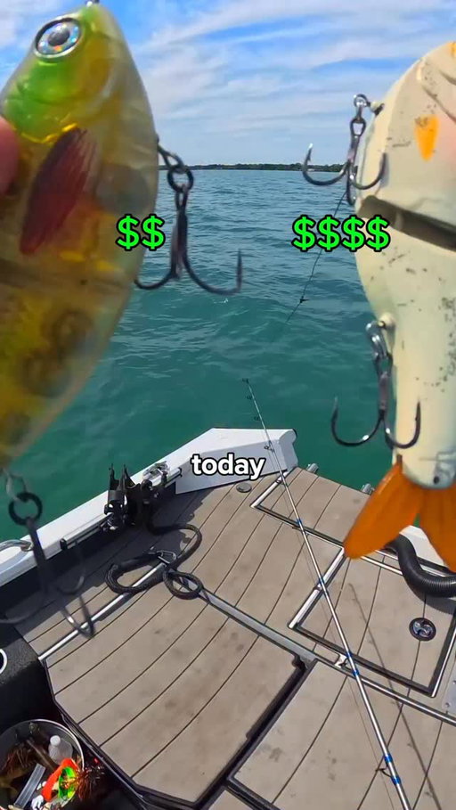 I Tested Cheap vs Expensive Lures 🐟🎣