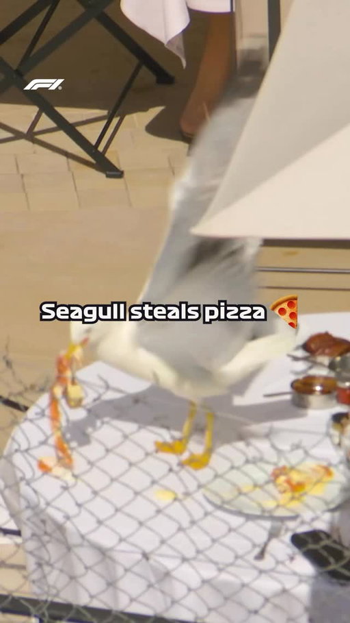 The heist of the century during this morning’s @fiaf3 session 🤣🍕

#F1 #Formula1 #MonacoGP