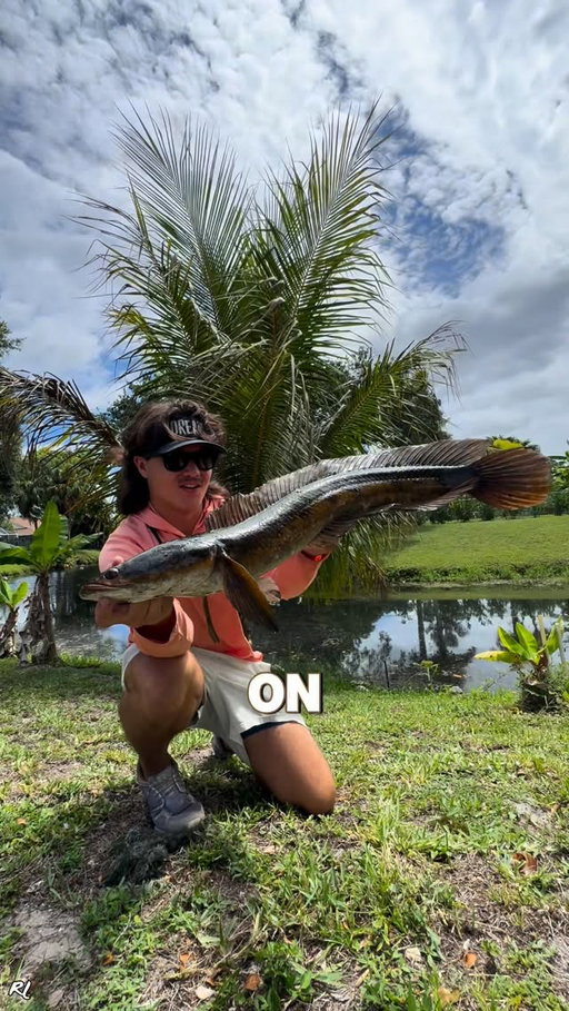 I CAUGHT A GIANT INVASIVE SPECIES🔥‼️

•
•

@mysterytacklebox use code: “RINATLEGGETTMTB” to save $10 on your first monthly box! Link in bio!

@battle.braid use code: “RL10” to save 10% Link in bio! 

•
•

#fishing #snakehead #invasivespecies #florida #mysterytacklebox