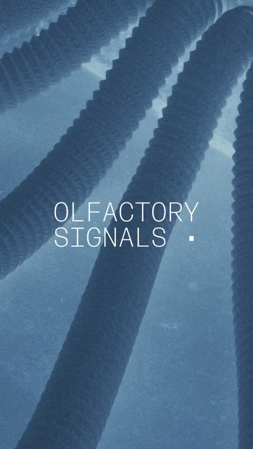 Four days of fragrance, culture and discovery.

One more day to experience OS.03.
In collaboration with @10corsocomo 

#olfactorysignals #os3