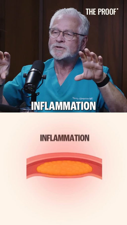 @drterrysimpsonmd on inflammation in the latest episode of @theproof 🙏🏼

Listen on all platforms - search The Proof with Simon Hill
