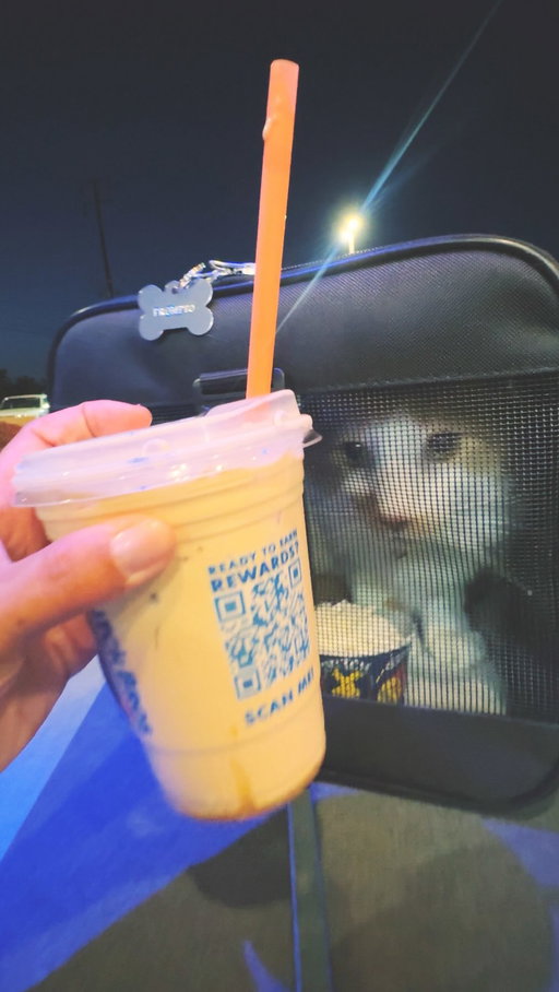 If “pup cups” are for 🐶, what about for cars? “Kitty cups”???