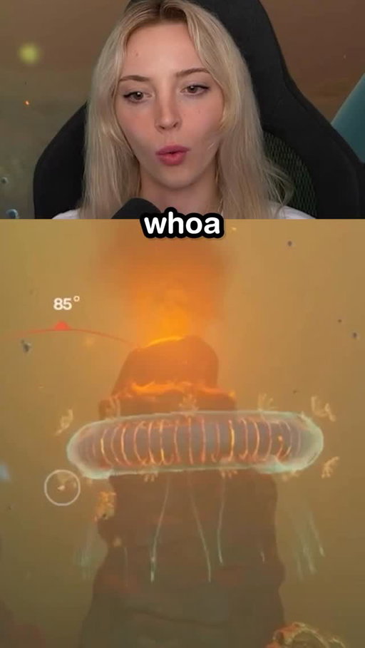 Subnautica Devs had ZERO CHILL with this 😭

🫪 #subnautica #gaming #streamer #games