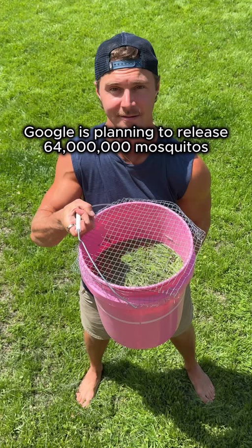 The $20 “mosquito bucket” method:

-Grab a 5-gallon bucket
-Fill it ⅔ with water
-Add grass clippings, weeds, or hay
-Let it ferment for 24 hours
-Drop in 1 BTI mosquito dunk (6 pack is ~$12 from any hardware store) 
-Cover with wire mesh so animals can’t fall in
-Place it in a shady spot away from kids/pets