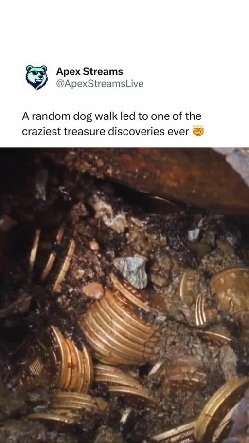 A couple in California went on a normal dog walk and noticed a rusty can sticking out of the dirt. Inside was buried gold 😳

They eventually uncovered 1,400+ rare coins hidden across 8 cans, worth nearly $10 million today 🤯

The discovery became known as the Saddle Ridge Hoard, one of the wildest treasure finds ever.