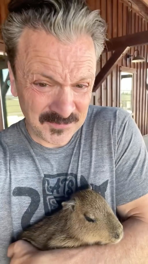 What’s better than a baby capybara? Trick question!

#capybara #babycapybara #cuteanimals #animalencounter #animalfacts