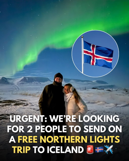 ‼️ Competition closed- winner contacted‼️ COULD YOU BE OUR LUCKY WINNER?😱🏆

Fancy a FREE trip to see the northern lights? We’re giving one person and their plus one the ultimate Iceland package🥹🇮🇸

Your prize:

🏨3 night stay at Hotel Akureyri
✈️UK return flights
🚕Transfers
🥞Daily breakfast
💫Small group northern lights tour 
🐋Whale watching excursion
🧖‍♀️Entrance to Forest Lagoon
🌋Trip to Lake Myvatn 

To enter👇🏻
📲 Follow @trendingtravel and @great_value_holidays
💕 Like this post
👯‍♀️ Tag who you’re bringing the comments

More comments = more entries🤞🏻

Share to your story for an extra entry👀

Full T&Cs at trendingtravel.co.uk‼️