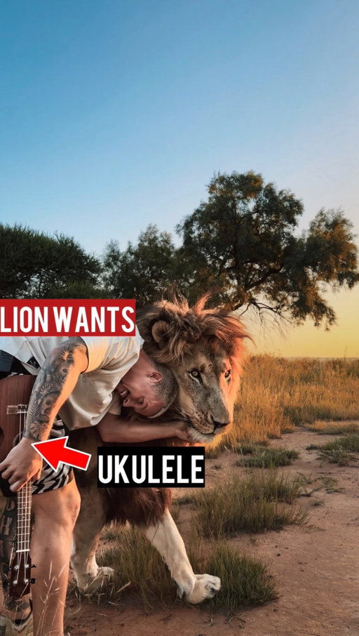 What instrument should I play next for the Lions❓😝🦁🎶 Comment below👇🏼 and Tag a friend who plays an Instrument!🎹🎷🎸
•
#deanschneider #hakunamipaka #wildanimals