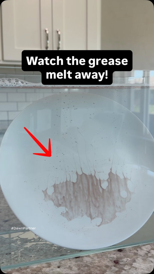 Look at that grease melt away! #dawnpartner I got to test out the upgraded Dawn Platinum and honestly… this stuff works amazing. The upgraded formula helps lift grease with less scrubbing, and the new refill jug makes topping off my EZ Squeeze bottle so much easier. Check out the link in my bio to give it a try!