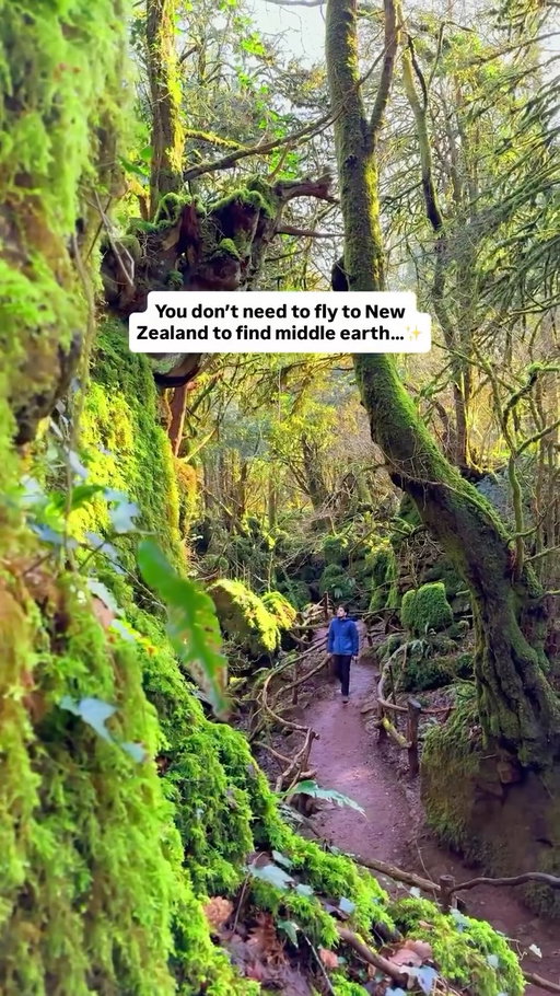 You don’t need to fly to New Zealand to find Middle Earth ✨

Make sure to follow @lockdownmadeustravel for more beginner friendly, adventure travel 😁

Hidden deep within the UK are places that feel like they’re straight from Tolkien’s world. Ancient forests, moss covered caves, and doors that look like you’re about to walk into the Shire. 🌄

📍Puzzlewood 🌿 
A woodland so mystical it’s been used in Harry Potter, Merlin, and Star Wars 🌌
With moss covered rocks, twisted trees, and winding paths, it feels like stepping into a storybook…✨

📍Snowdonia 
This whole area looks so magical, featuring Aber Falls and Lake Vrynwy 

📍The famous doors at St Edward’s Church 🚪✨
Said to have inspired Tolkien’s Doors of Durin, these ancient yew framed doors look like something straight out of Moria 🧙‍♂️

📍Chee Dale stepping stones 🥾
Tucked inside a dramatic limestone gorge, the stepping stones at Chee Dale are one of the most magical spots in the Peak District ✨

Three unreal places… all within the UK 🤯

Which one would you explore first? 👇