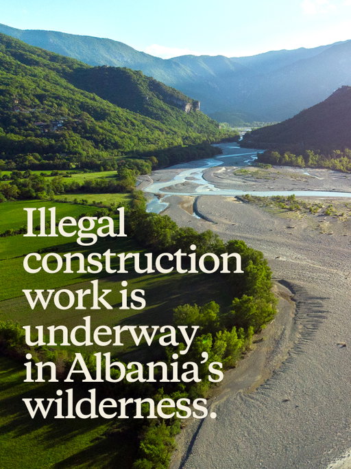 Just three years after Albania created the Vjosa Wild River National Park, this untouched ecosystem is being threatened by illegal development. Unauthorized construction for luxury tourism is currently underway on the Adriatic coast—where the Vjosa meets the sea—in one of the last pristine river deltas in the Mediterranean basin. 

Since the end of April, bulldozers and excavators have been operating in the Vjosa-Narta Protected Landscape, clearing coastal forests, ploughing through dunes, and cutting access roads to make way for luxury tourism infrastructure. 

The health of the Vjosa is inextricably linked to its surroundings, including its delta at the coast. Learn more and help protect this pristine wilderness now at the link in bio. 

Photos: Protection and Preservation of Natural Environment in Albania (@ppnea)