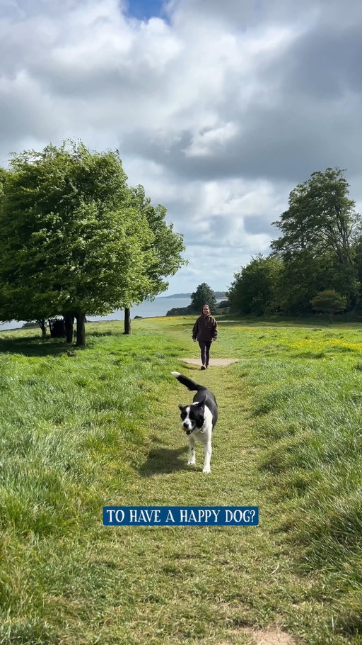 Somewhere between setting off and heading home…they start thinking about food 🐶

Our nutricious recipes in trays are small enough to come with you, so you’re ready when that moment arrives 💙

#ButchersDogFood #DogFood