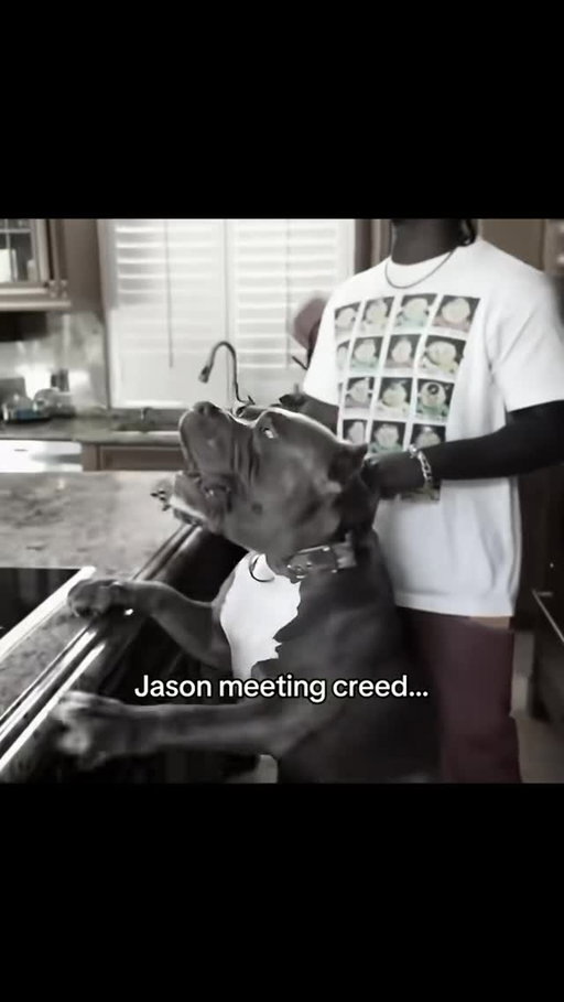 Jason 😭🙏🏾
Twitch: yourragegaming