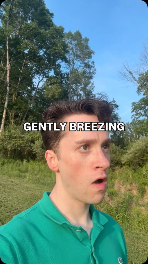 Gently breezing